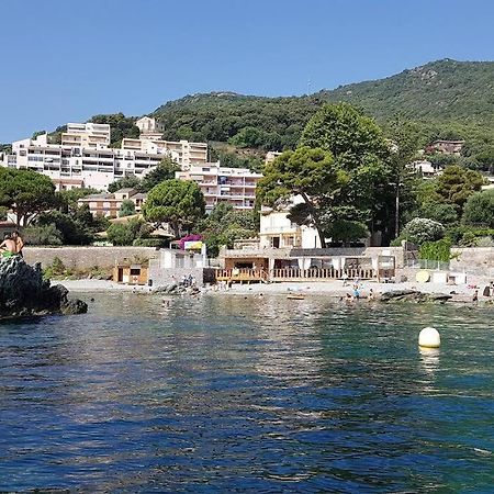 Charmant Studio Climatise Avec Parking, Au Coeur De Pietranera, Plage A 500M, Bastia A 2Km Ville-di-Pietrabugno 외부 사진
